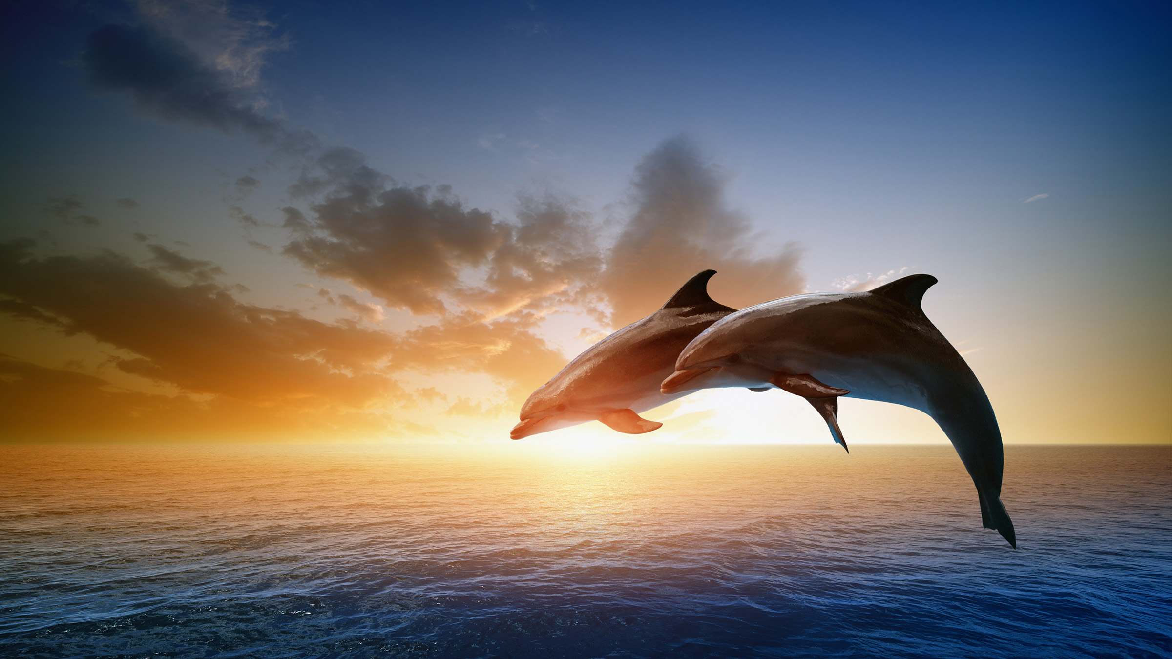Song of Taiji